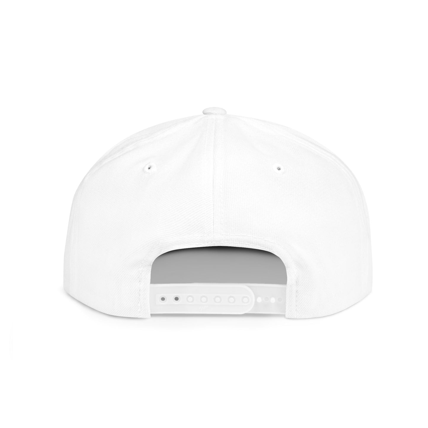 TDG bFlat Bill Snapback